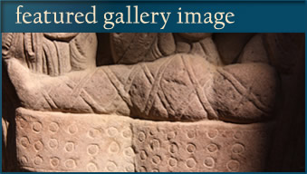 Featured Gallery Image